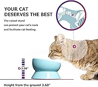 Vista 3 de Y YHY Tazón de cerámica para comida y agua de gatos inclinado de 15 onzas, azul lago