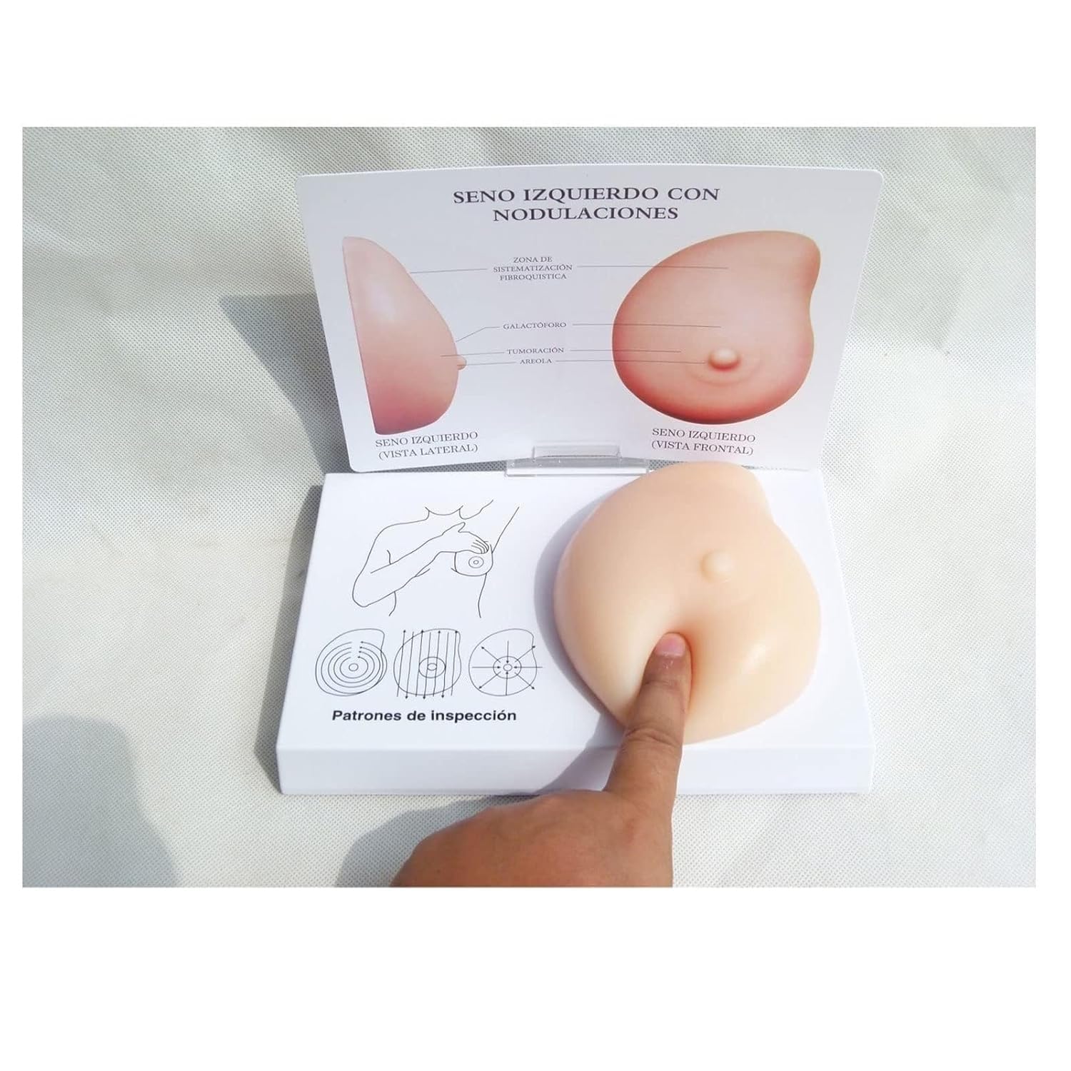 Modello di seno in silicone, modello anatomico del cancro al seno, modello di autotest patologico del seno for grumi, strumento medico, for la comunicazione medico-paziente, insegnamento
