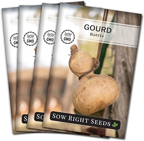 Sow Right Seeds - Semilla de calabaza en botella para plantar - Paquete de reliquia sin OMG con instrucciones para plantar y cultivar un huerto en