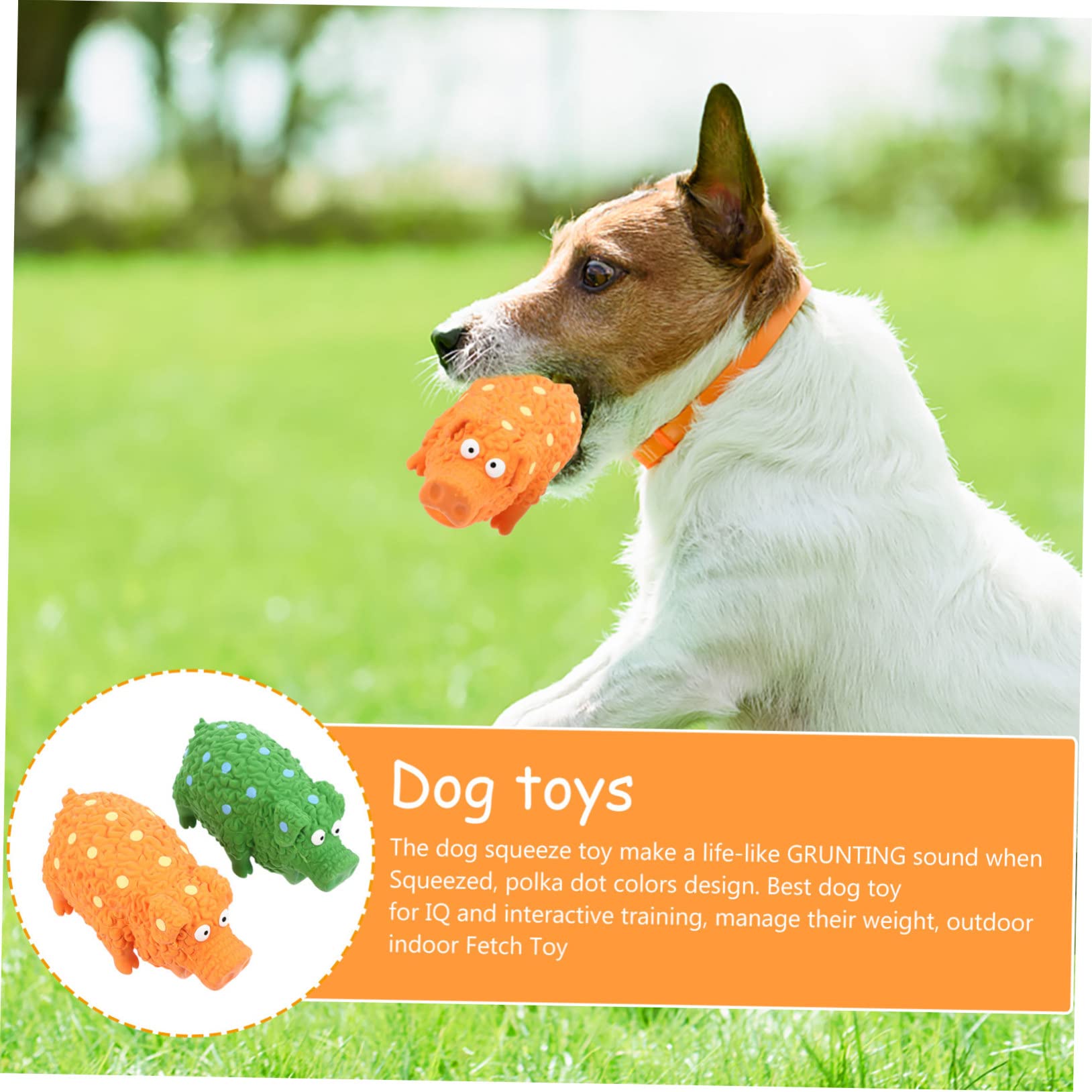 Angoily 4stücke Squeaky Latex Hundespielzeug Set Interaktive Kauspielzeuge Für Hunde Zum Spielen Und Zahnpflege Für Kleine Und Mittelgroße Hunde