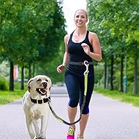 Vista 2 de Dog Lesh - Ganchos de doble extremo para caminar y correr, clips de perro de acero inoxidable para todas las correas de mascotas, cubos