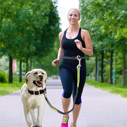Miniatura 2 de Dog Lesh - Ganchos de doble extremo para caminar y correr, clips de perro de acero inoxidable para todas las correas de mascotas, cubos