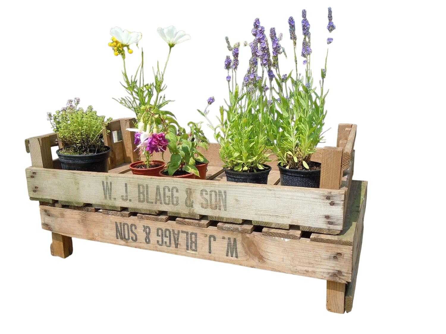 VINTAGE ANTIQUE FARM CHITTING TRAYS