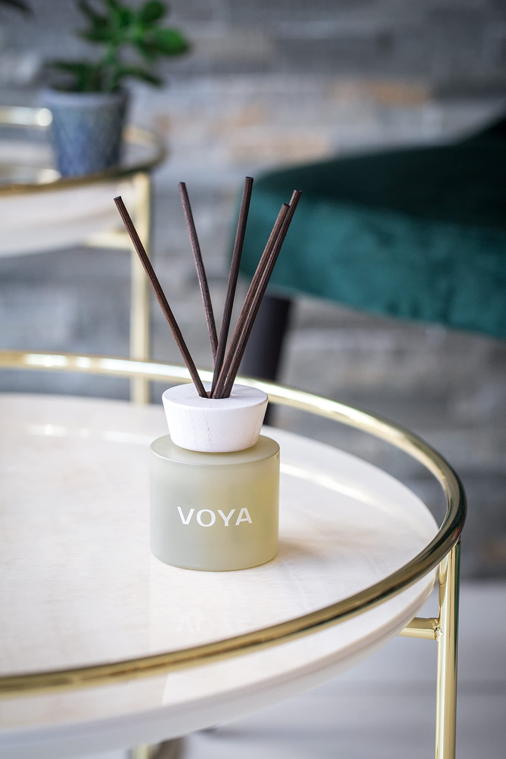 VOYA Cedarwood and Bergamot Reed Diffuser Set, Natural Reeds Sticks, Cedarwood, Bergamot, 100ml.