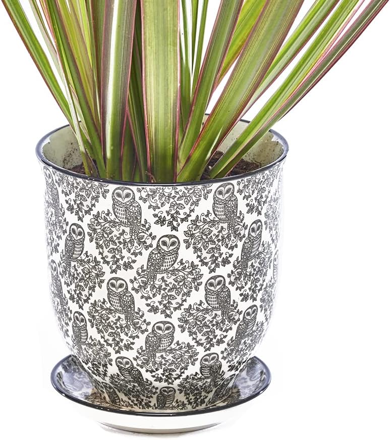 CHIVE 'Liberte' Ceramic Succulent Planters — Cute 4.25 Inch Vintage Style Pots for Indoor Plants — Beautiful Home and Kitchen Décor — Monstera