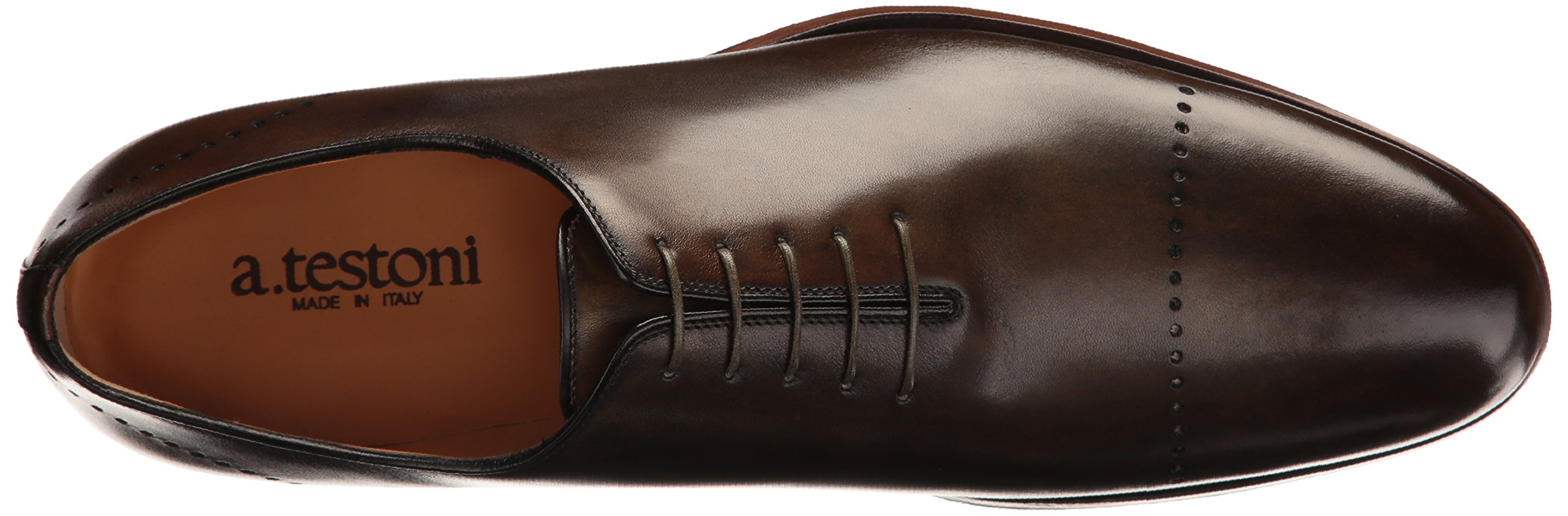 A Testoni Mens M45911msm Oxford Desertcart Tunisia