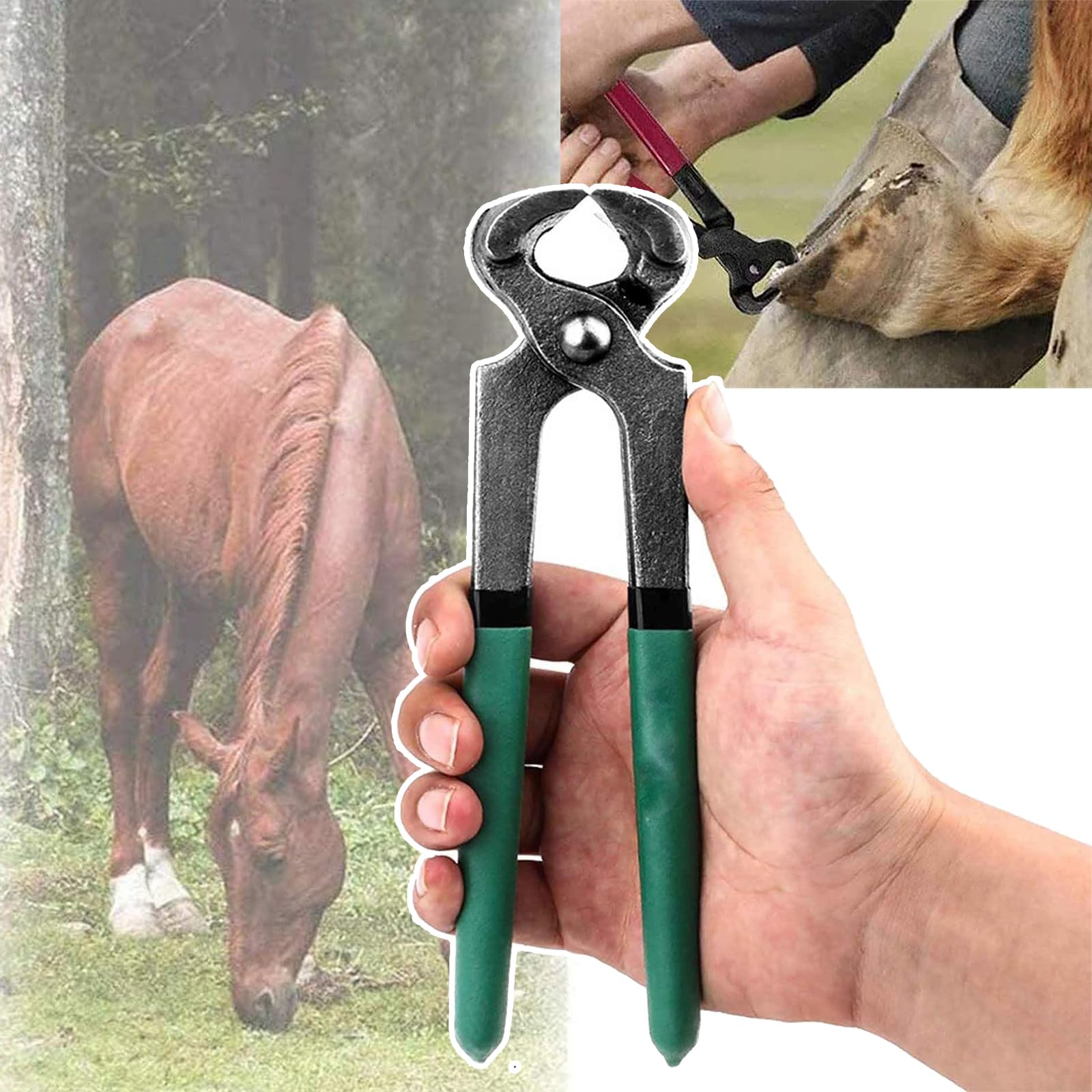 HEGGMKK 8inch Herramientas Profesionales para Recortar Pezuñas De Caballos (20 Cm), Tijeras para Recortar Uñas, Corte Rápido + Mango Antideslizante, para Cabras, Ovejas, Ganado Vacuno,Green