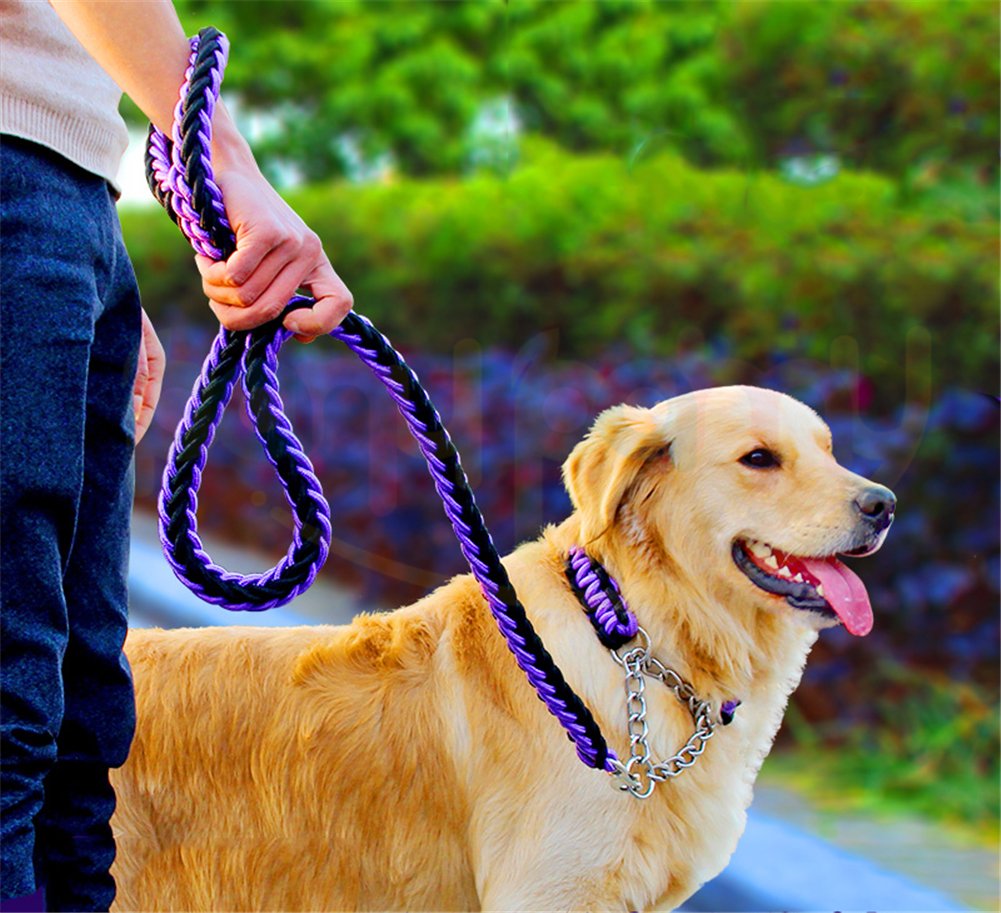 How Can I Walk My Dog Strong