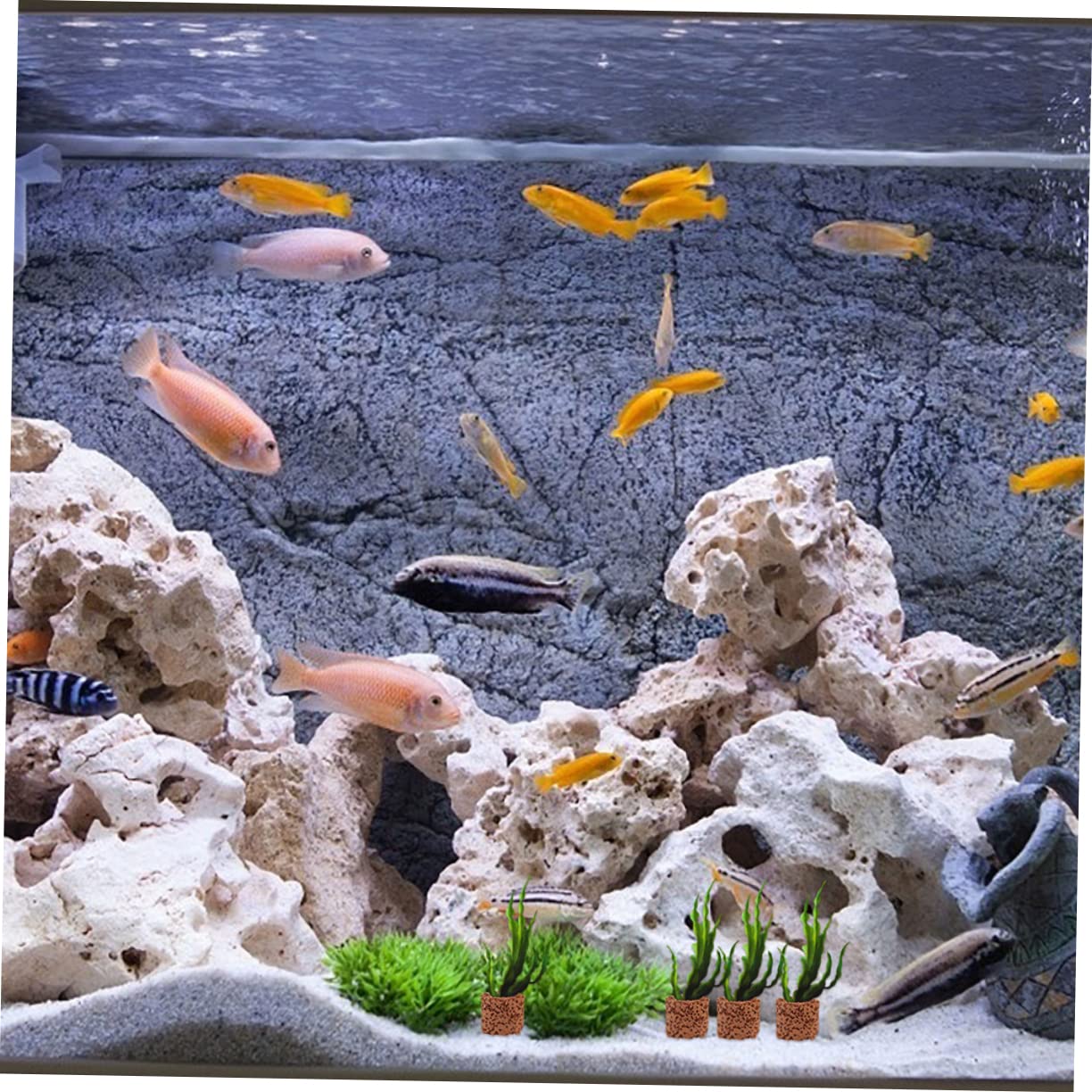 40 Piezas Anillo De Fijación De Césped Acuático Pesas para Plantas De Anillo Fijo para Plantas Acuáticas Soporte Pesado Subacuáticas Base Fija Decoración De
