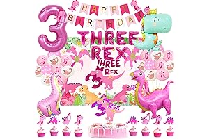 Dinosaur Girl Birthday Decorations|Pink 3rd Dinosaur Backdrop and Party Supplies