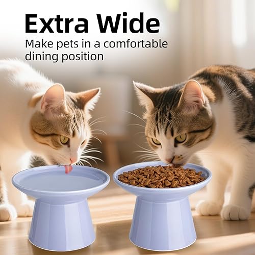 Vista 26 de Cuenco elevado extra ancho para comida para gatos, cuencos de cerámica para alimentos y agua, plato ancho y poco profundo para gatos, fatiga