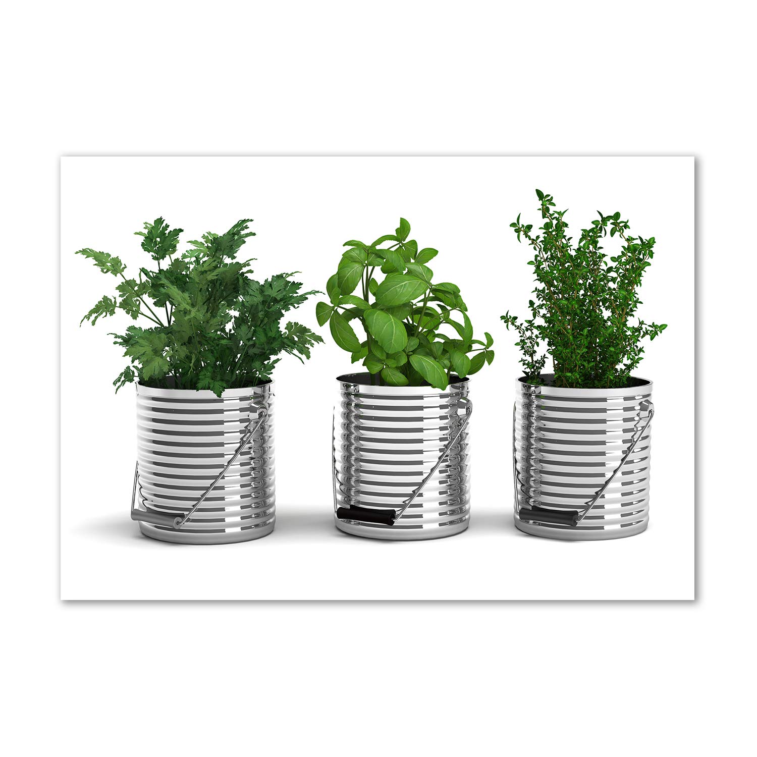 Image verre plastique Tulup Verde décoration murale en plexiglas moderne avec herbes aromatiques