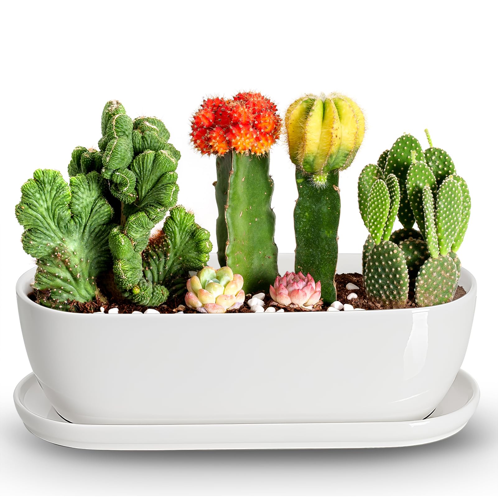 E-liu Oval Ceramic Planter