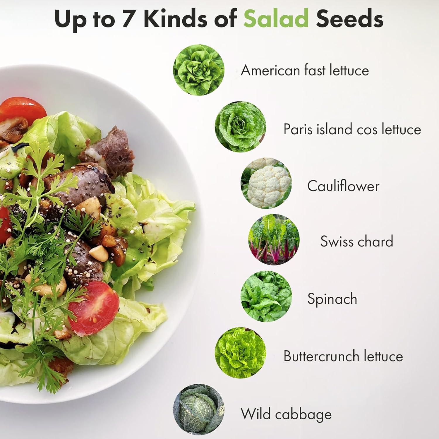 Salad Green Seed Pod Kits and Romaine Lettuce Seed Pod Kits