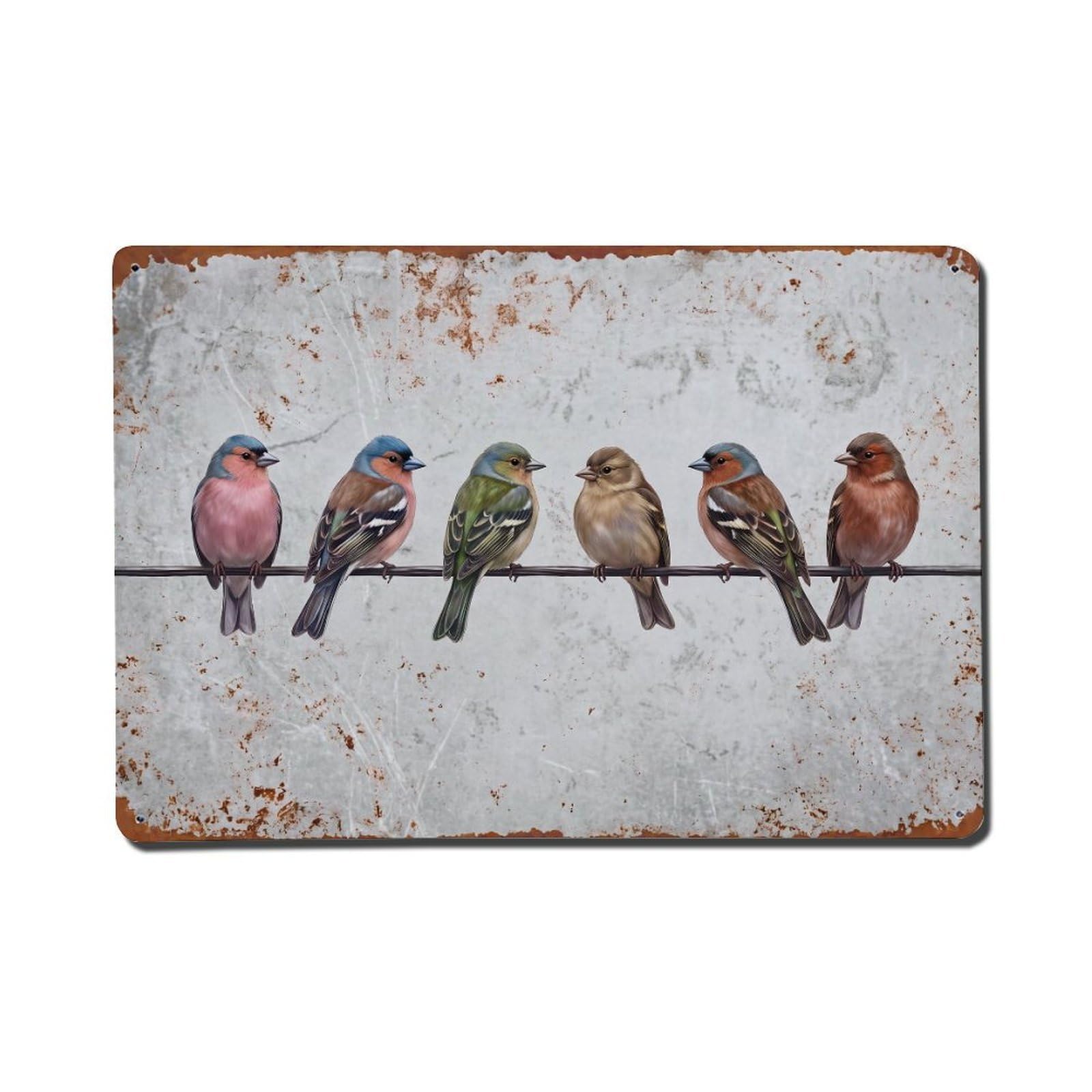 Vintage Retro Birds Chaffinch Metal Tin Sign