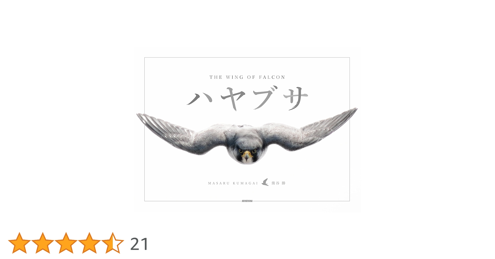 Anton Znaniecki ハヤブサ Falcon 絵画 Anton Znaniecki ハヤブサ Falcon 絵画 - メルカリ