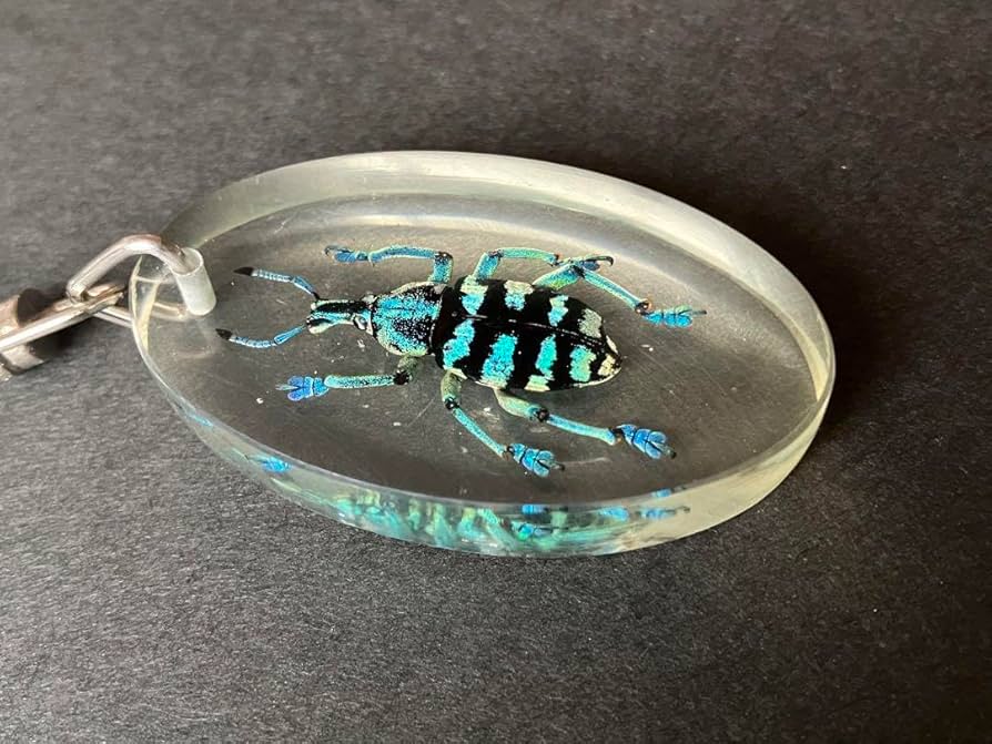 イモムシガチャ　昆虫アクリルキーホルダー Mr.カブトムシ・タテツノムシ】水彩イラストペンダント 防水