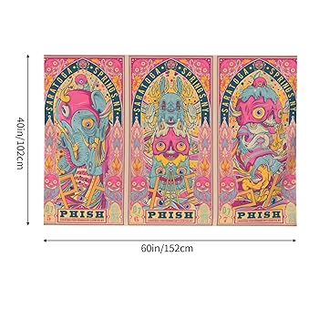 Amazon.com: WWECDFGDSG Phish Tapestry 60x40in Indoor Wall