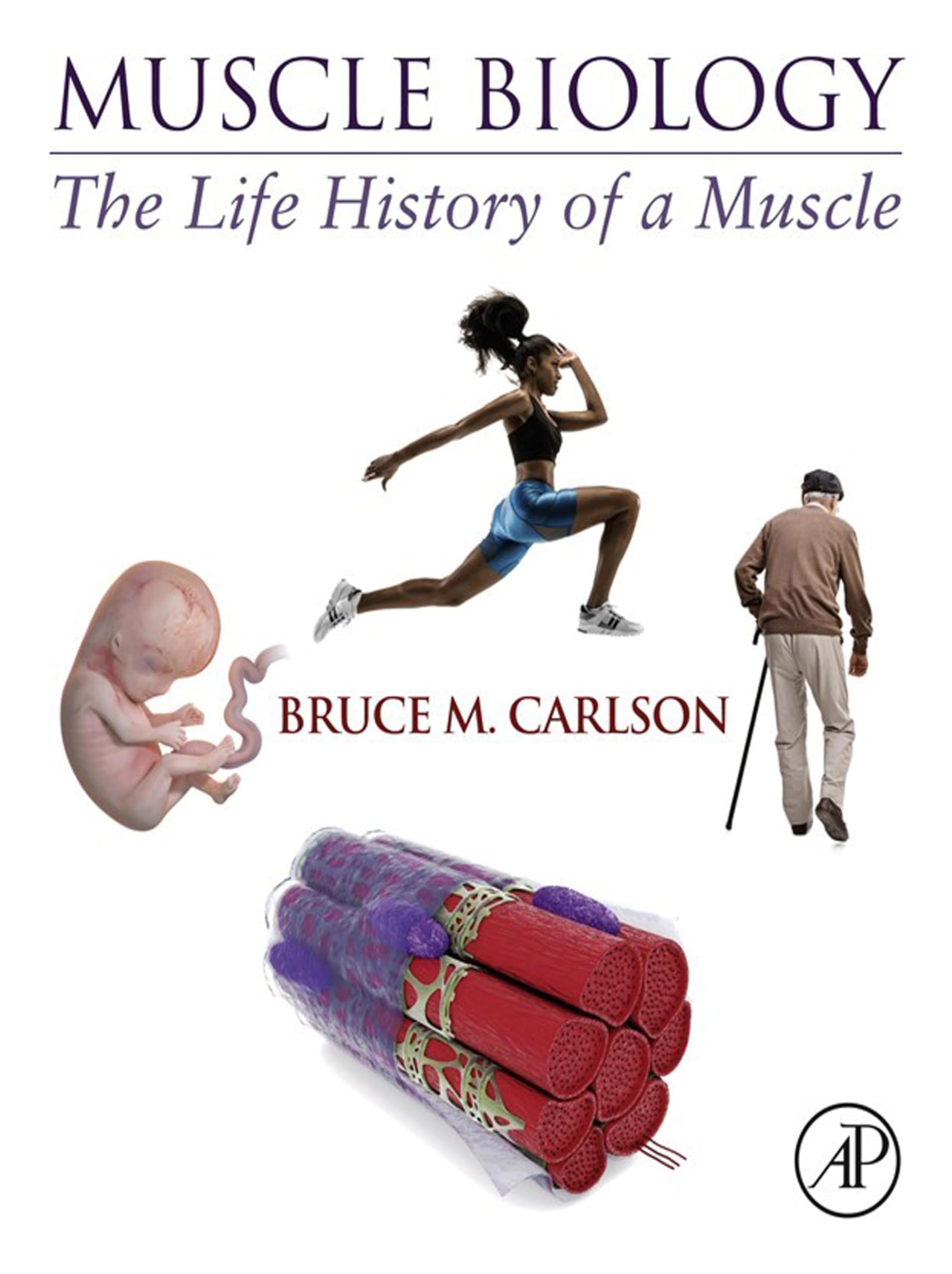 Muscle Biology: The Life History of a Muscle (English Edition)