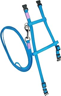 Kitty & Co Nylon Adjustable Cat Harness & Lead Set Assorted 9mm X30-40cm