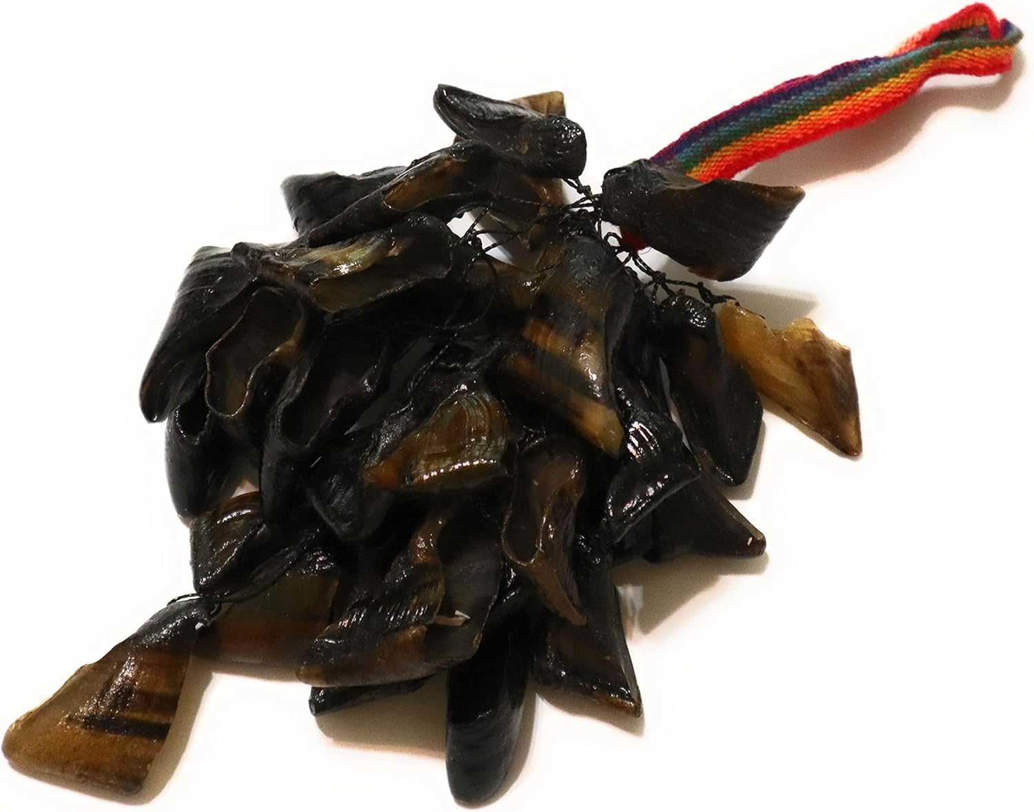 Andean Percussion Musical Folk Instrument Shaker or Chajcha. Ritual instrument from the Incas times. 13" Length.