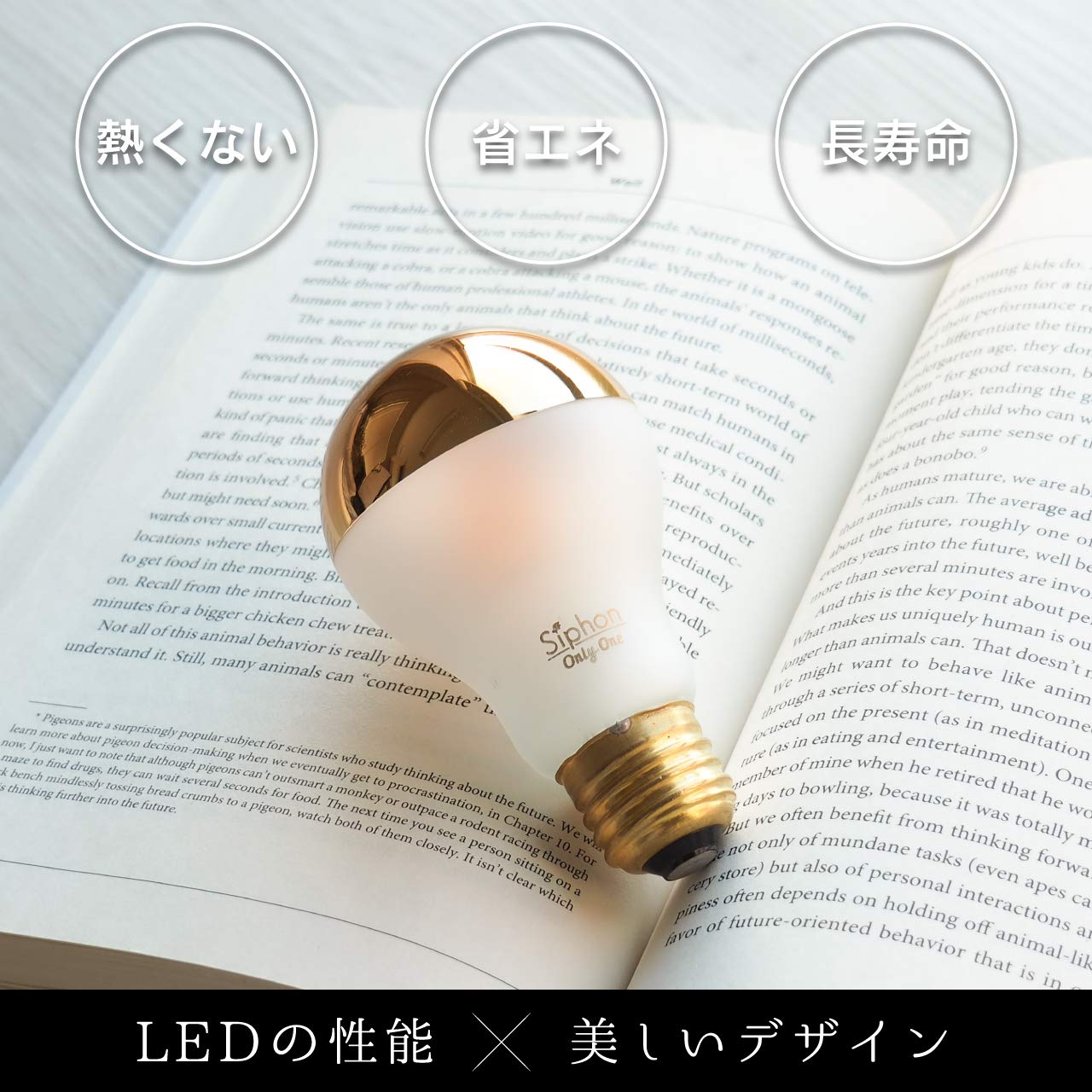 Siphon LED電球 3個セット LDF80 E26 電球色 フィラメントLED電球「Siphon」 The Bulb LDF80 Tミラー ザ