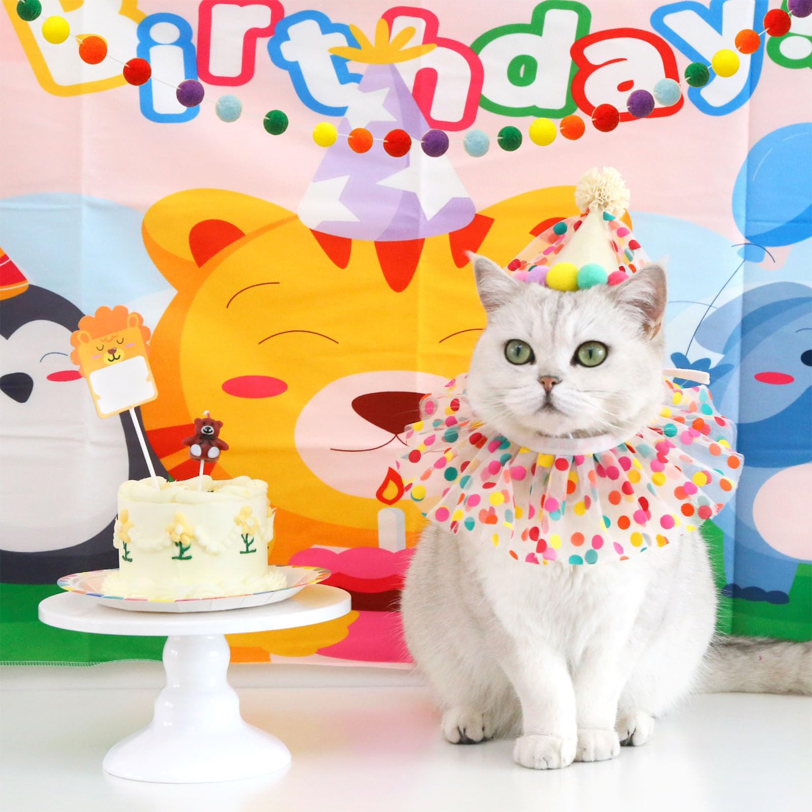 Compleanno Cane Bandana da Festa Set Puntini Colorati Ghirlanda Pompon Striscione Happy Birthday