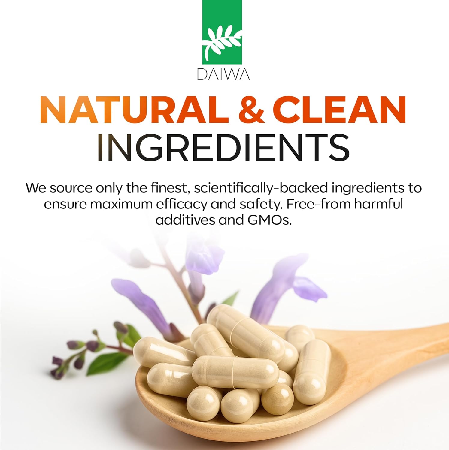 Daiwa Joint Health - Tendon and Ligament Supplements with Chinese Skullcap and Acacia Catechu - Traditional Plant-Based Formula for Active Lifestyles - Non-GMO, 30 Vegetarian Capsules - Image 4