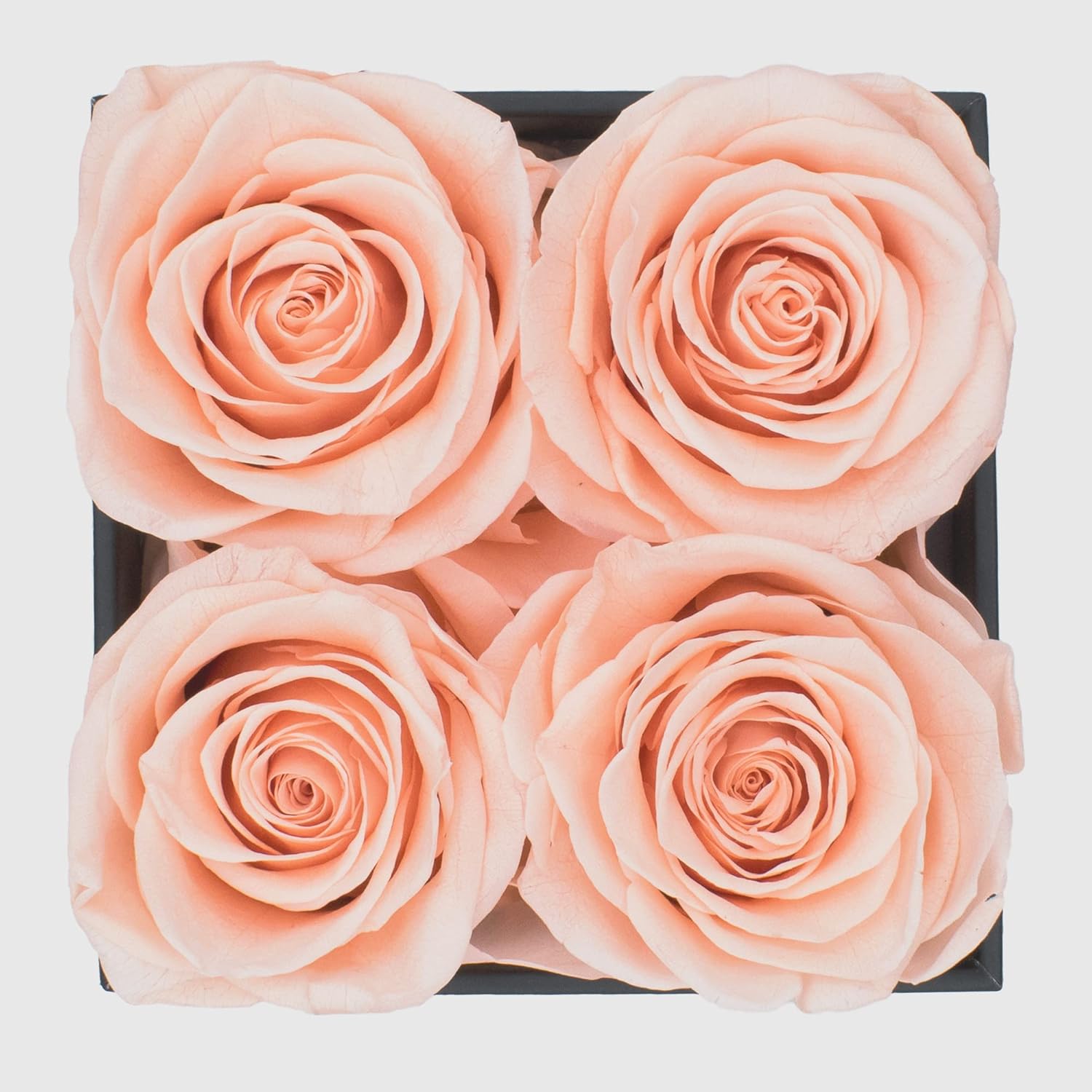 Graceful Fleurs Real Long Lasting Roses in a Box for Years, Preserved Fresh Forever Flowers for Delivery Birthday, Eternal Floral Valentines Gifts for Her (Light Peach, Black Box, 4 Roses) - Image 2