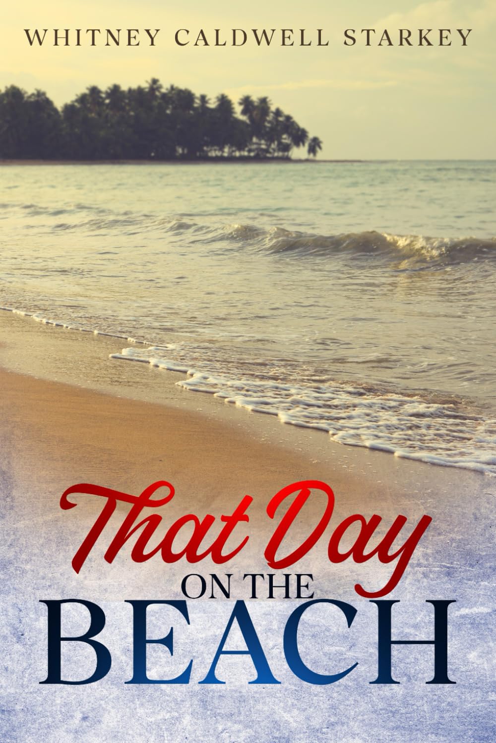That Day on the Beach: Caldwell Starkey, Whitney: 9798866645558: Amazon ...