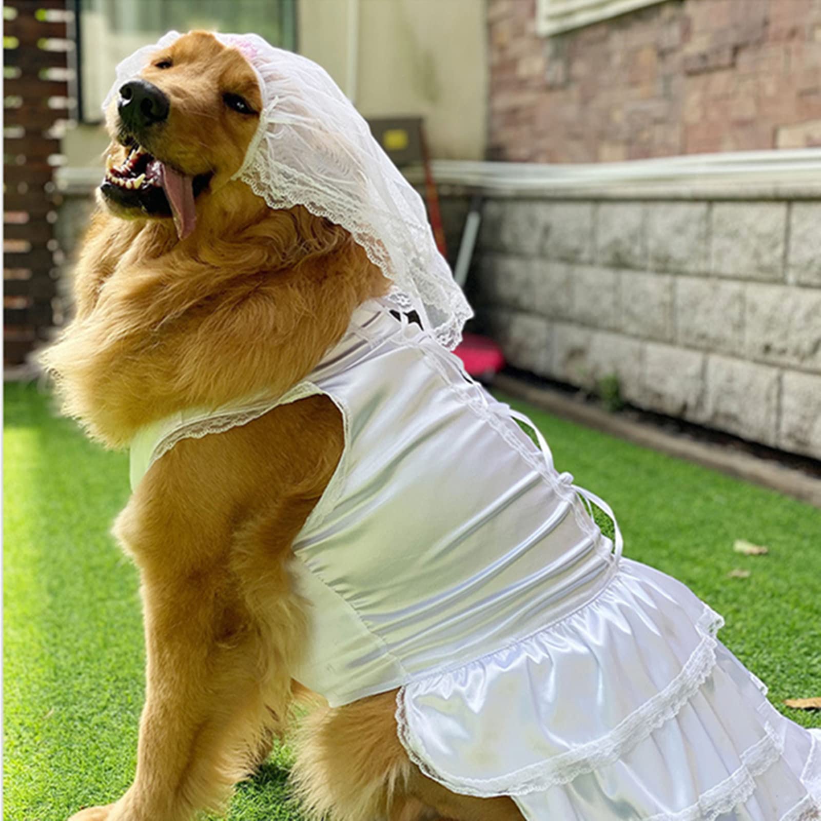 3 Hundekleider Sommer-Set – Gestuftes Röckchen Mit Schleife Für Kleine & Mittelgroße Hunde