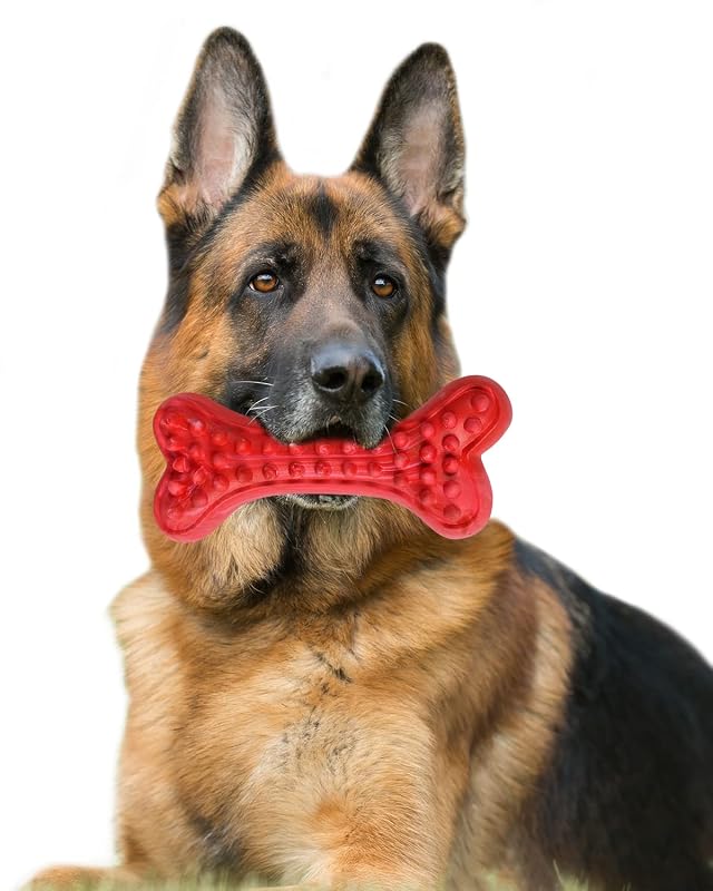 Brinquedo para Mastigar para Cães Médios e Grandes em Borracha com Sabor de Carne Motusamare – 1 Unidade