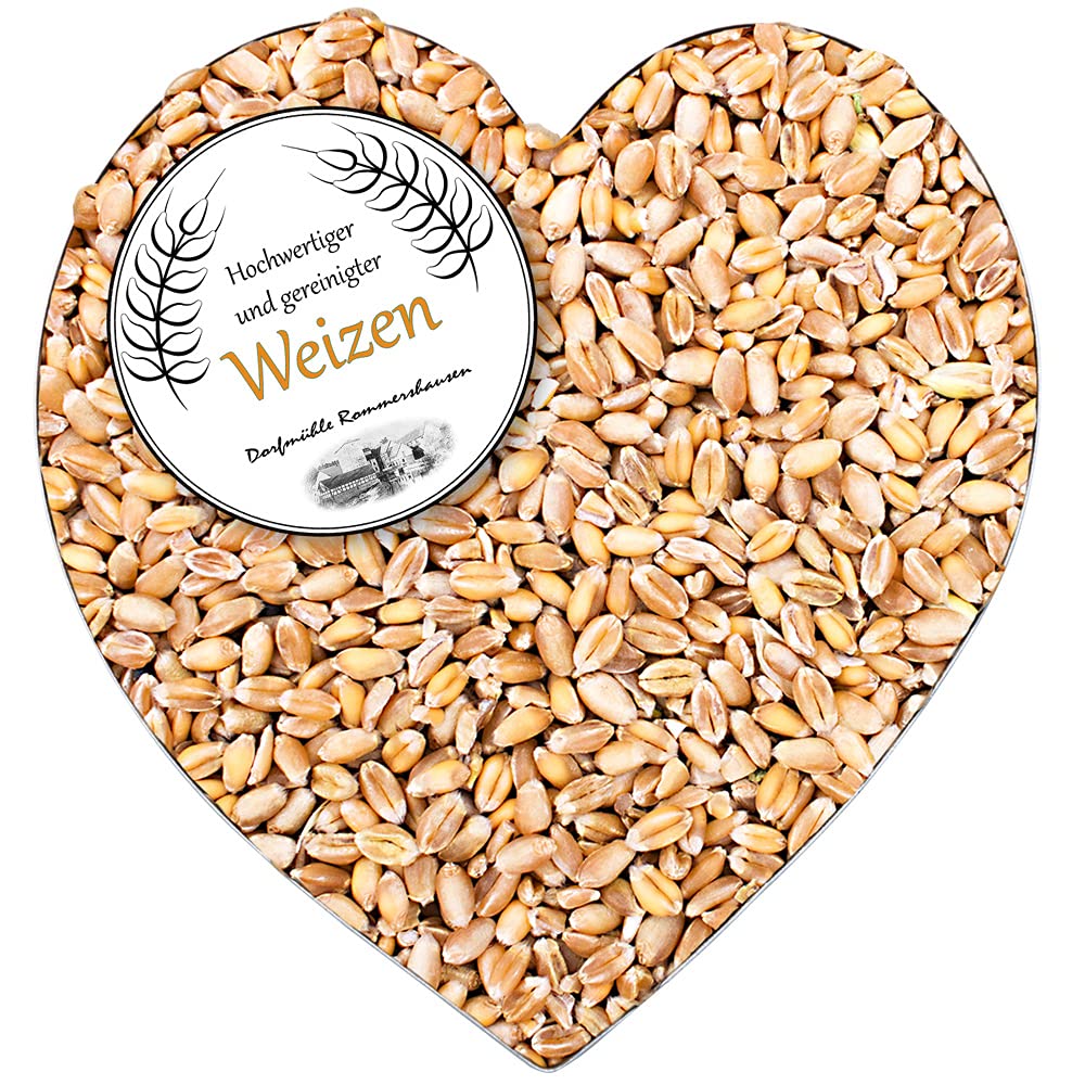 Petigi 30 kg Grain Graines de Blé Aliments pour Animaux Poulet Volaille
