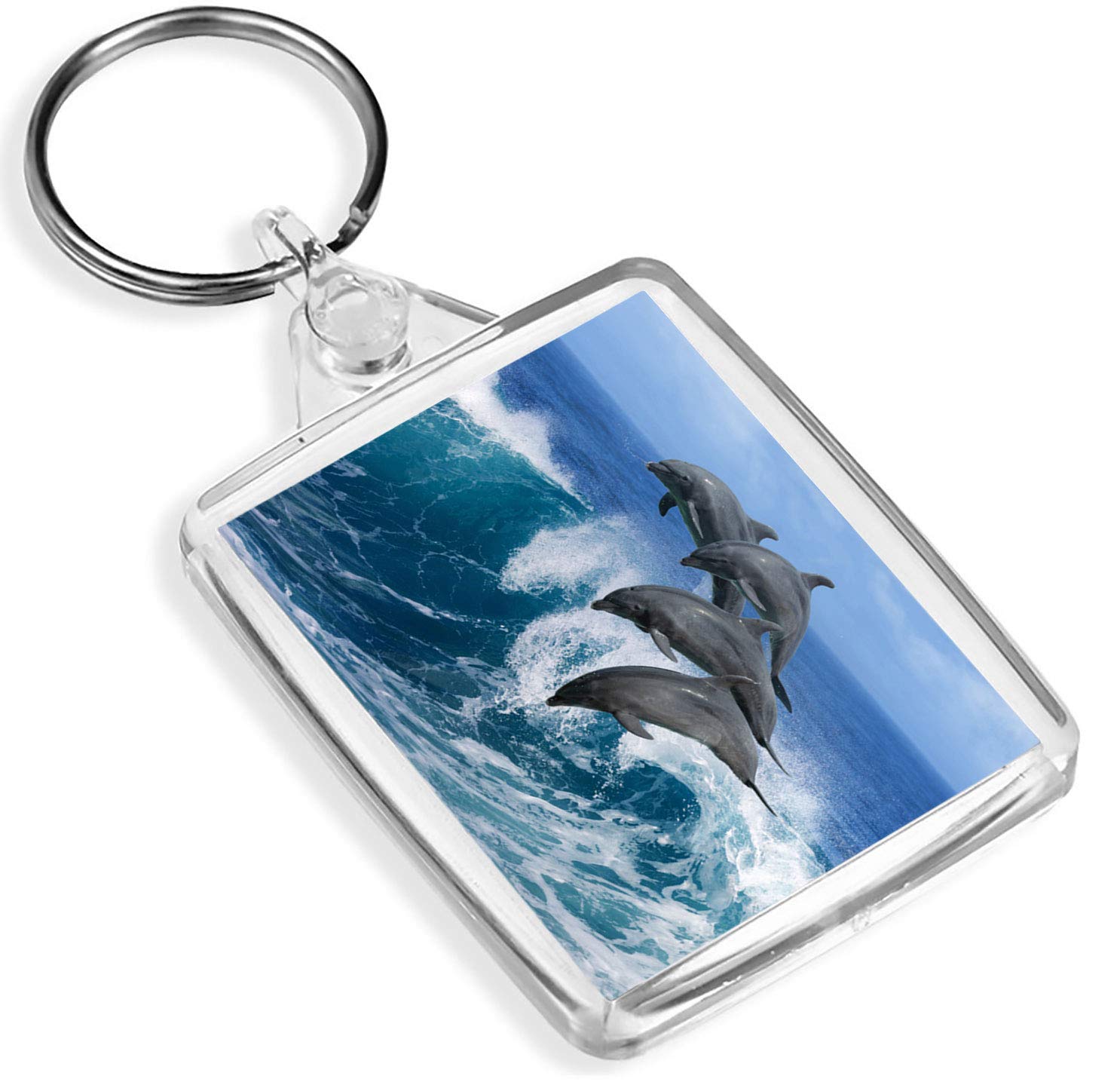 Destination Vinyl Keyrings Unisex Kids Multi 1 X Dolphin Pod Whale Ocean Sea - Keyring- Ip02 - Mum Dad Kids #2333