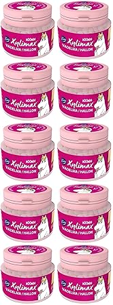 Fazer Moomin Xylimax Raspberry Flavor Pastilles 10 Jars of 90g