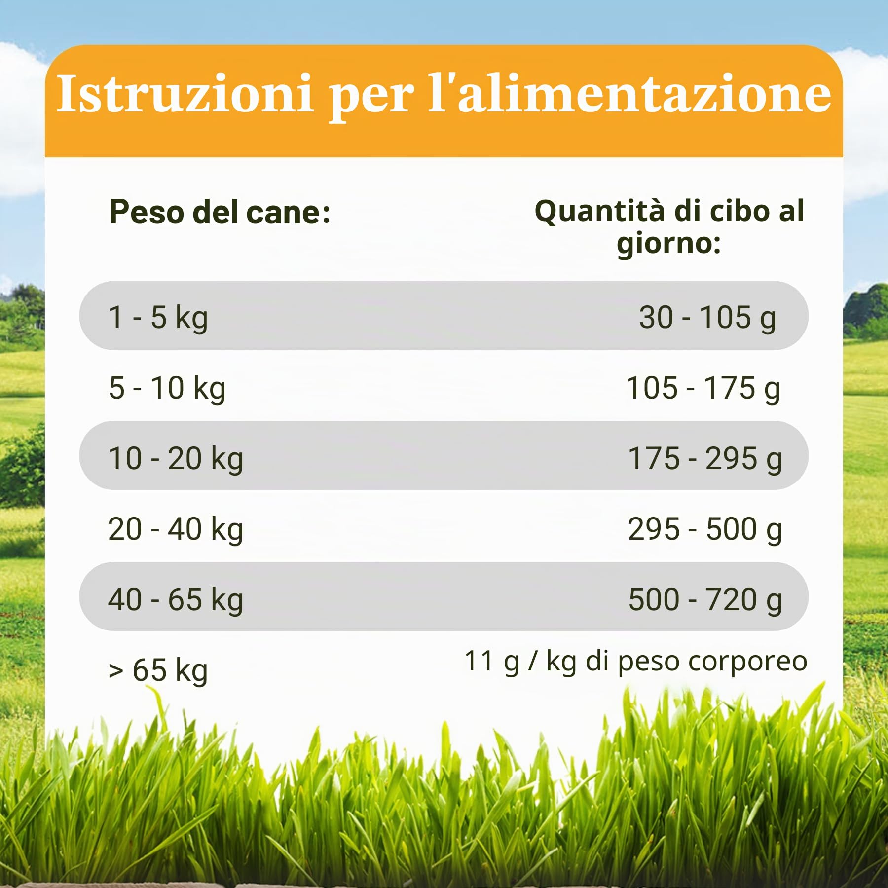 Bellfor Wildsee-Schmaus Mangime Secco per Cani Sensibili - Anatra Fresca, Senza Cereali né Conservanti Artificiali, Ricco di Omega-3, 10 kg