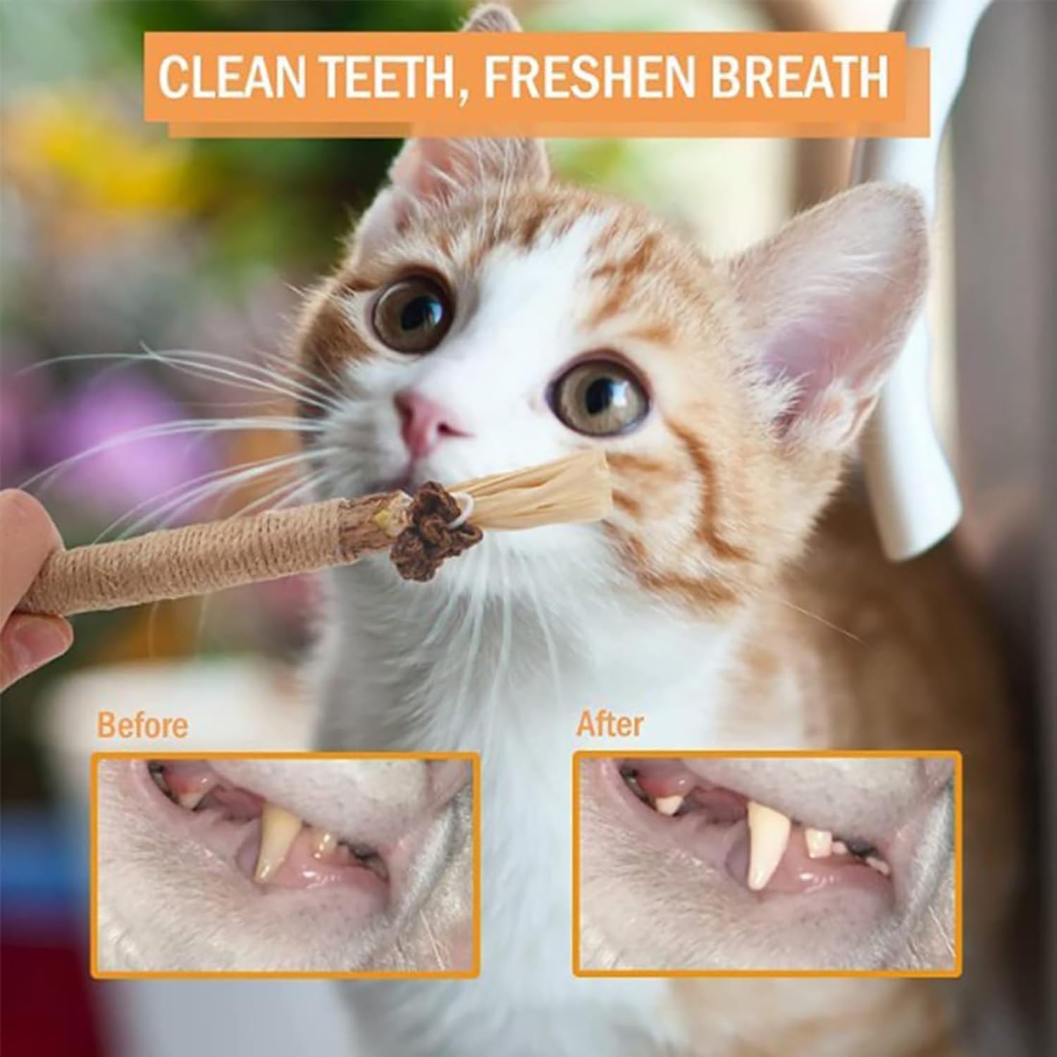 Nylatails Silvervine Dental Stick - Kat Kauwstok, Natuurlijke Gras Sticks, Interactief Kitten Tandjes Speelgoed (5 stuks