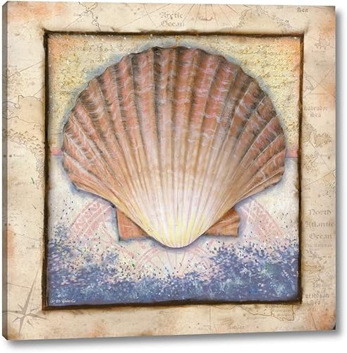Shell by Ed Wargo - 16" x 16" Canvas Art Print Gallery Wrapped - Ready to Hang