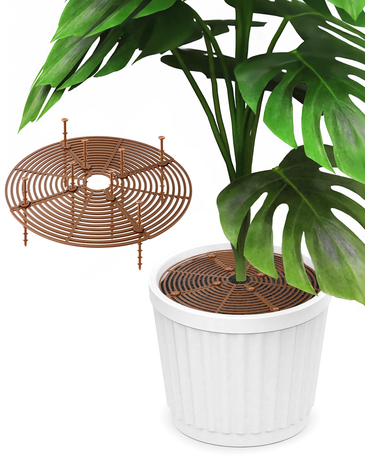 Lot de 2 Protections de Sol pour Pots de Plantes - Ø 30 cm - Anti-Chats et Enfants