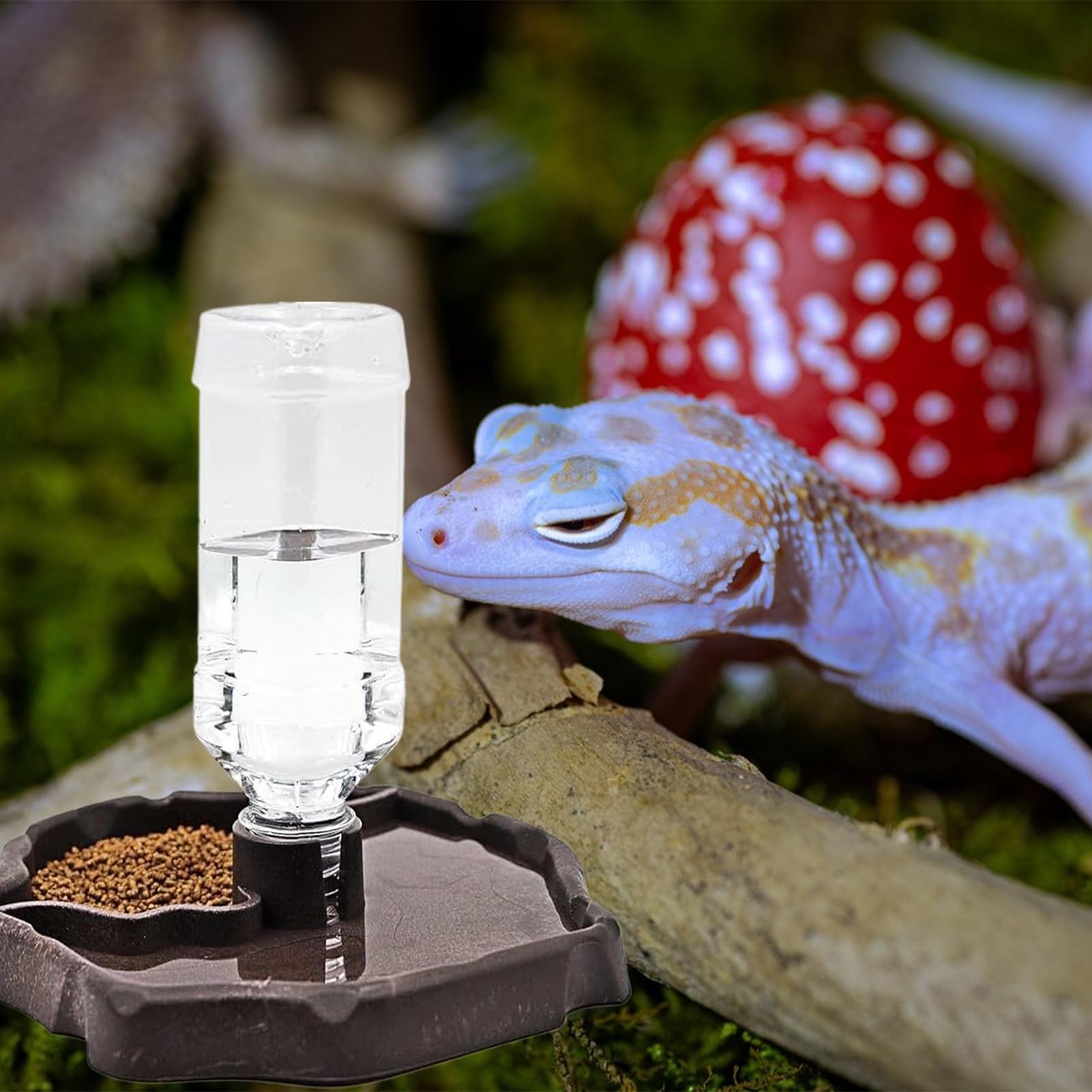 Distributeur d'eau pour Reptile, Mangeoire Gamelle Tortue Terrestre, Abreuvoir Tortue Terrestre 2 en 1, Distributeur d'eau Portable avec Plat en Plastique Abreuvoir pourReptile Tortues Gecko