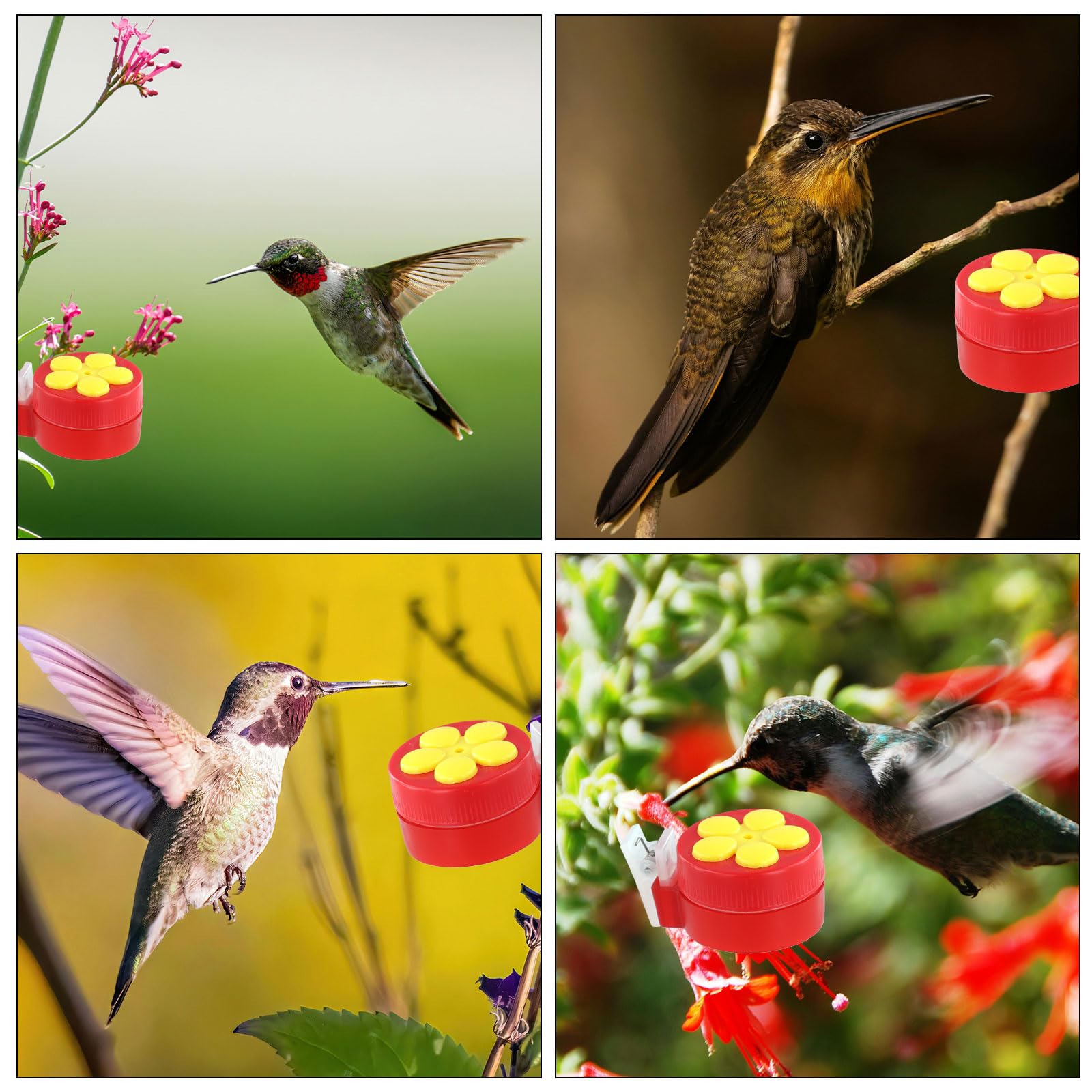 4uds Comederos de Colibríes de Mano con Clips, Hummingbird Feeder con 4 Cepillos de Limpieza Mini Plástico Comedero de Colibrí Herramientas de Alimentación para Suministros al Aire Libre