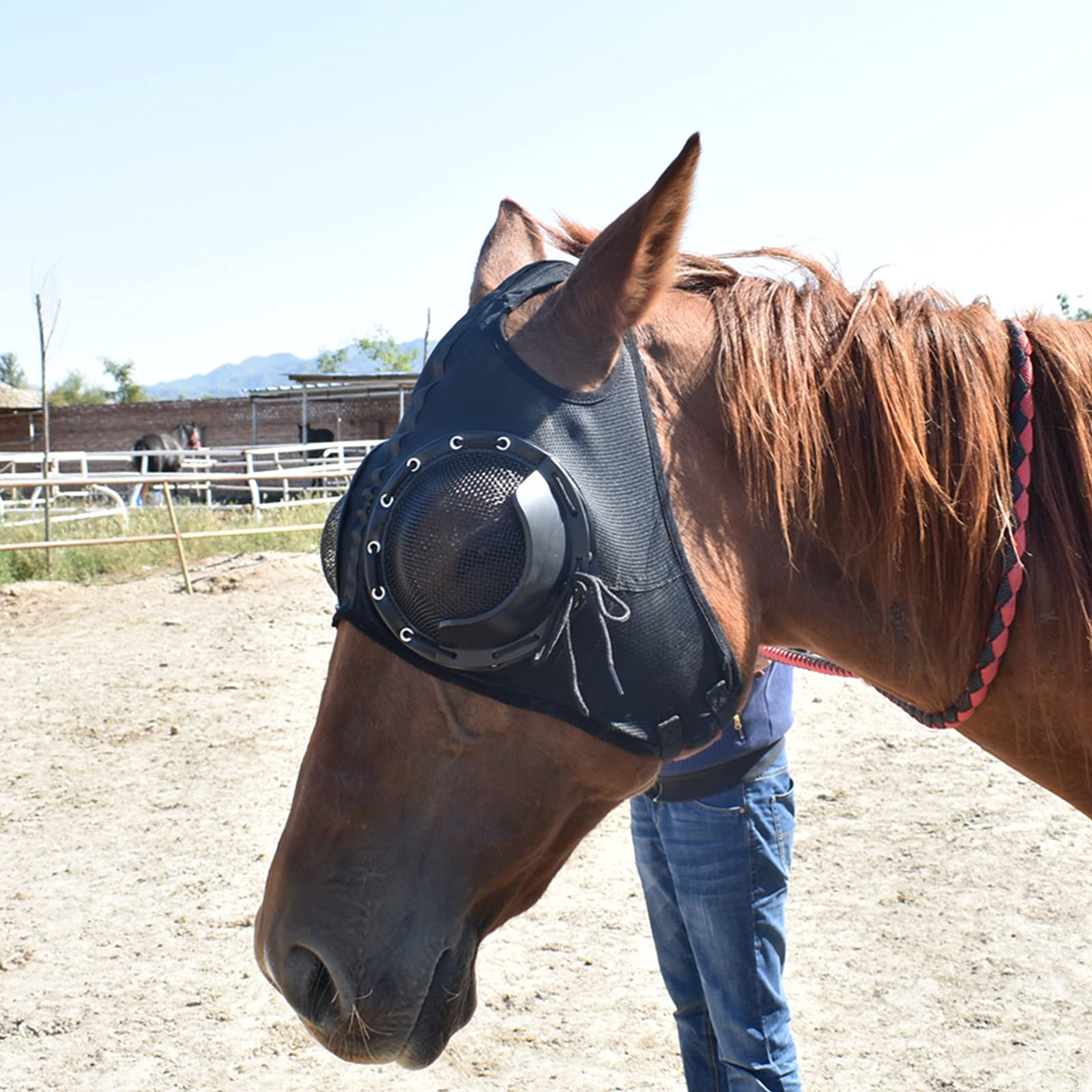 Suministros De Arnés Cubierta De Arnés Gafas A Prueba De Viento Gafas De Carrera De Velocidad con Gafas De Malla Cubierta Anti-trachoma Hogar De Caballo(Color:Negro)
