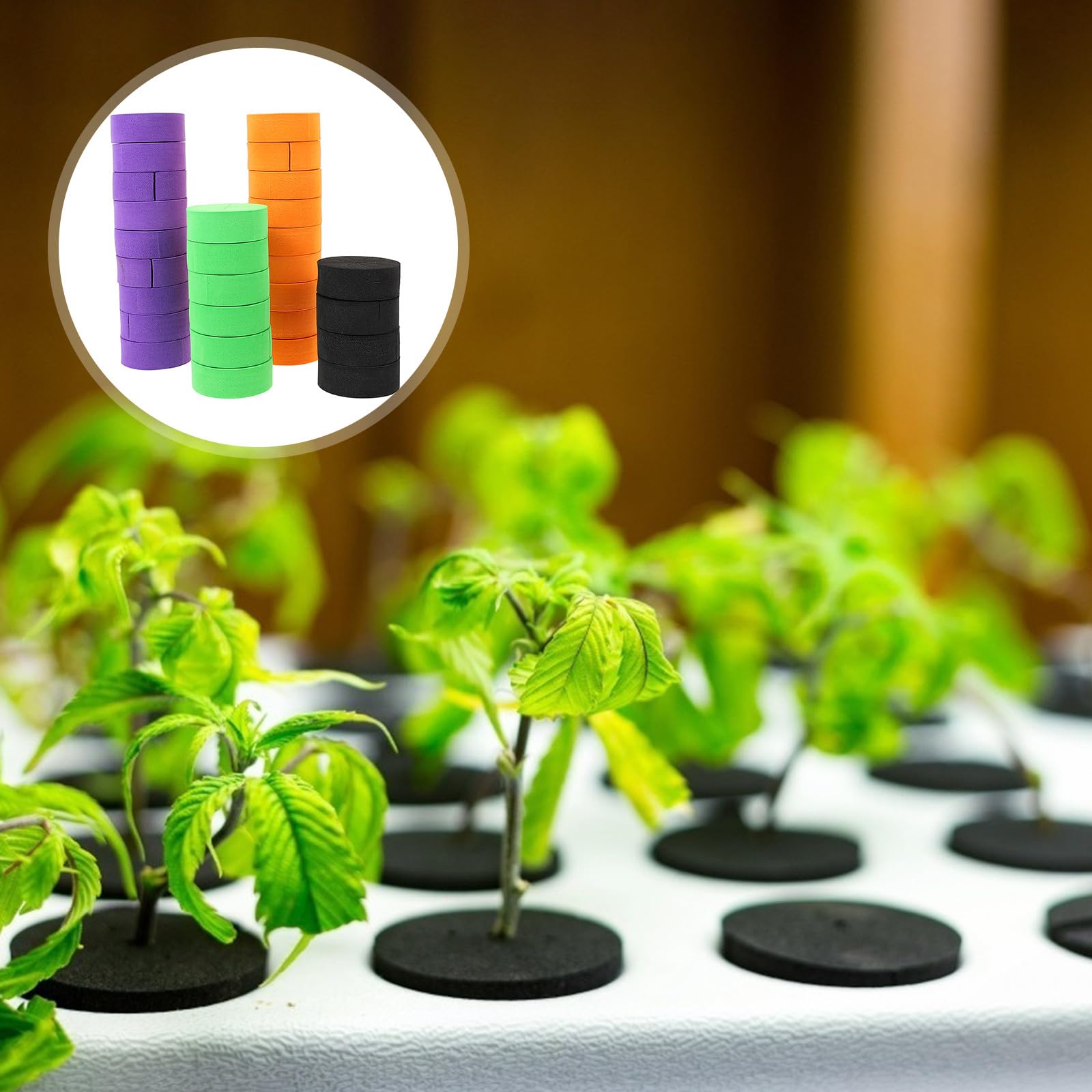 jojofuny Bloques de Esponja Eva para Cultivo Hidropónico sin Tierra, 50 Piezas, Ahorro de Espacio y Aptos para Semillas en Base de Cultivo de Hortalizas Color Aleatorio