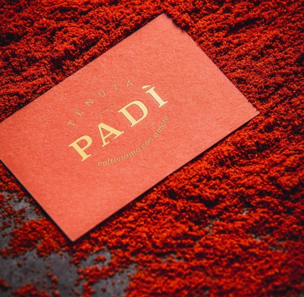 Tenuta Padì Serta di peperoni secchi di Senise IGP - Da friggere e fare Cruschi - Collana o Nzerta o Treccia di Zafaran Crusk - 500 Grammi - Mezza Serta