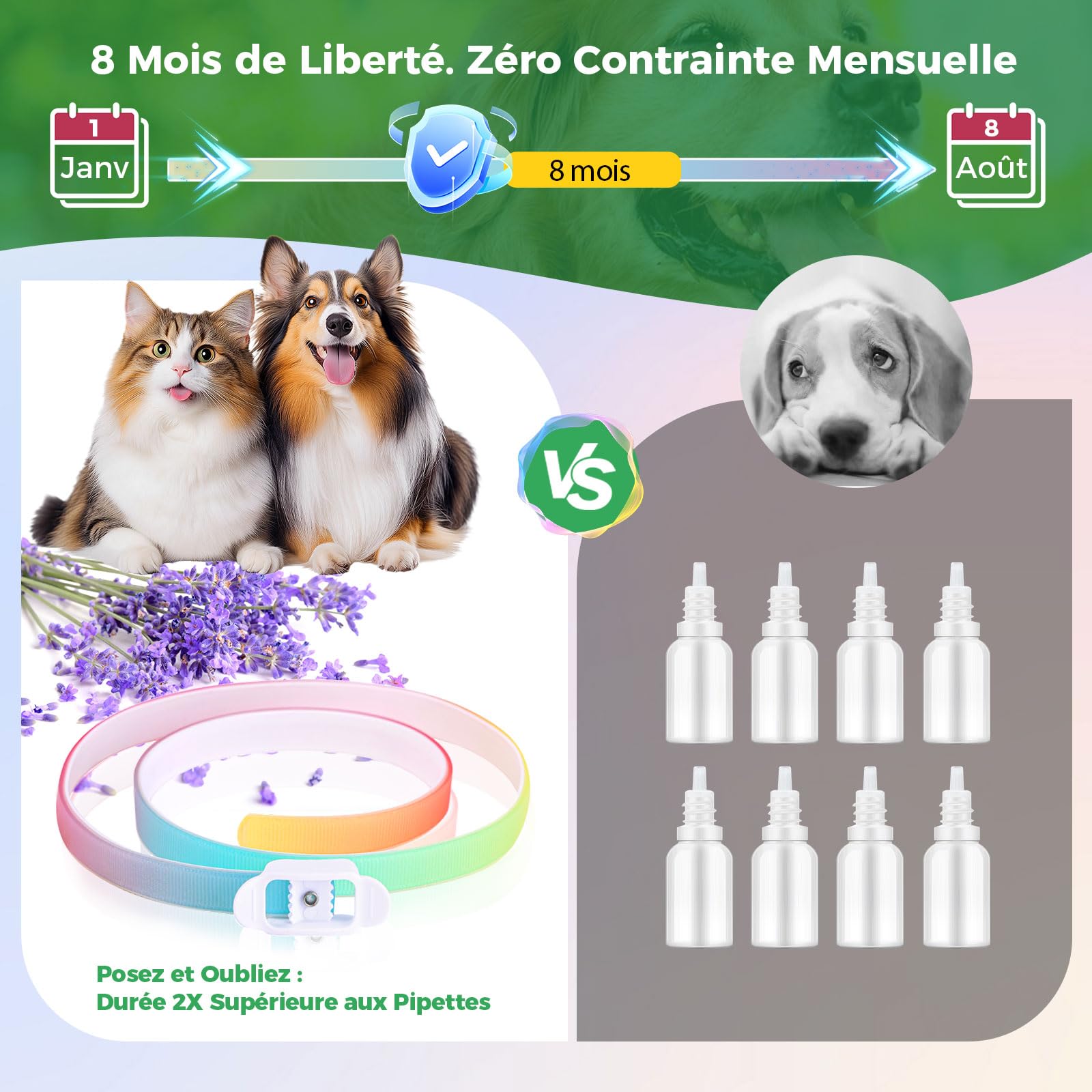 Collier Anti-Parasites pour Chien, Protection Continue 8 Mois, Anti-Puces & Anti-Tiques, Réglable 69cm, Résistant à l'eau