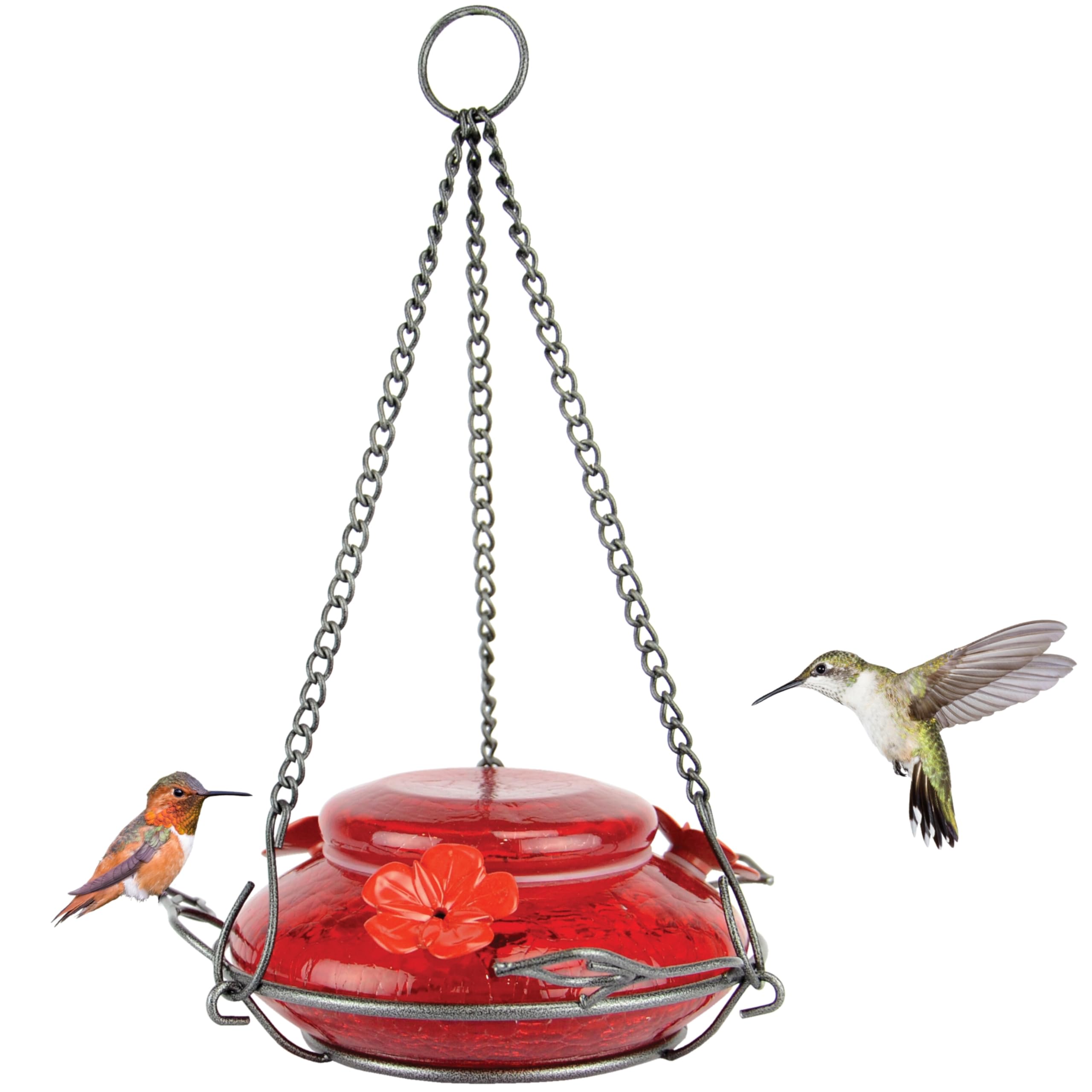 Nature's Way Bird Products MHF4 Hand Blown Garden Top Fill Hummingbird Feeder, 16 oz Capacity, Red