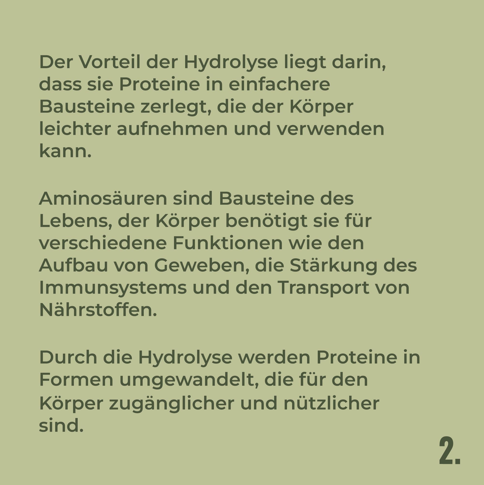 HANS Brainfood 90% Bio ULTRA fermentiertes Erbsenprotein Pulver cremig 1kg neutral - Veganes Proteinpulver cremig Mit Optimalem Aminosäurenprofil & Gut löslich - Bio Protein Pulver (1000g)