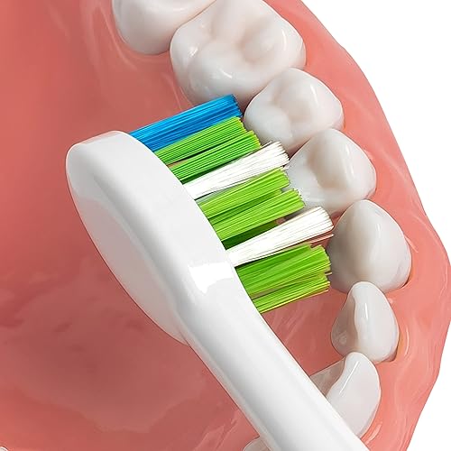 Miniatura 4 de Waterpik Sensonic STWB-3WW-B - Cabezales de repuesto para cepillo de dientes, 3 cabezales de cepillo de dientes, color blanco