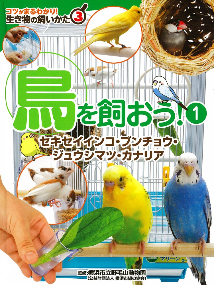 【初心者セット】　セキセイインコ 完全飼育セット 小鳥用　飼育本付き 71UWs-ISy8L.jpg