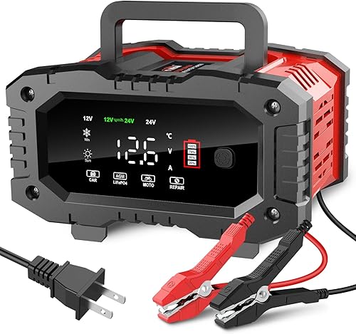 YONHAN Cargador de batería de 20 amperios, LiFePO4 de plomo ácido de 12 V y 24 V, cargador de batería portátil de 8 etapas, cargador de goteo